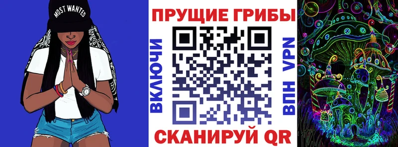Псилоцибиновые грибы мицелий  Архангельск 