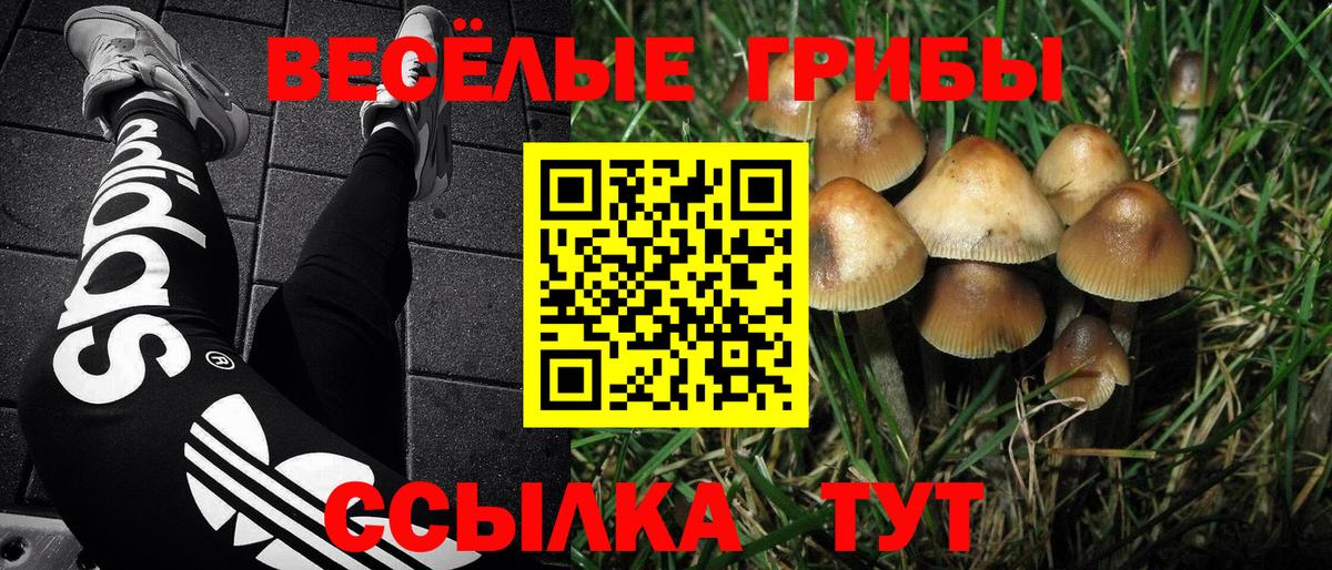 Галлюциногенные грибы MAGIC MUSHROOMS Архангельск
