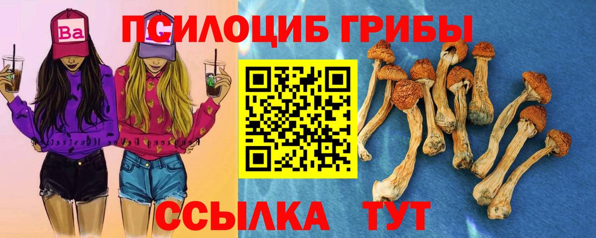 Архангельск  Галлюциногенные грибы MAGIC MUSHROOMS  Вход с VPN 
